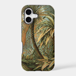 Ferns Palm Tree Antique Botanical Ferns Art