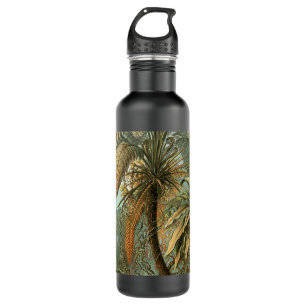Ferns Palm Tree Antique Botanical Ferns Art 710 Ml Water Bottle