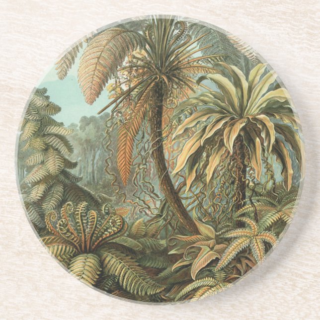 Ferns Palm Tree Antique Botanical Ferns Art Coaster (Front)