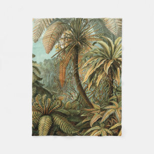 Ferns Palm Tree Antique Botanical Ferns Art Fleece Blanket