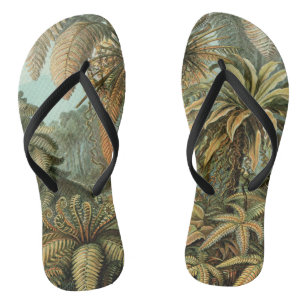 Ferns Palm Tree Antique Botanical Ferns Art Jandals