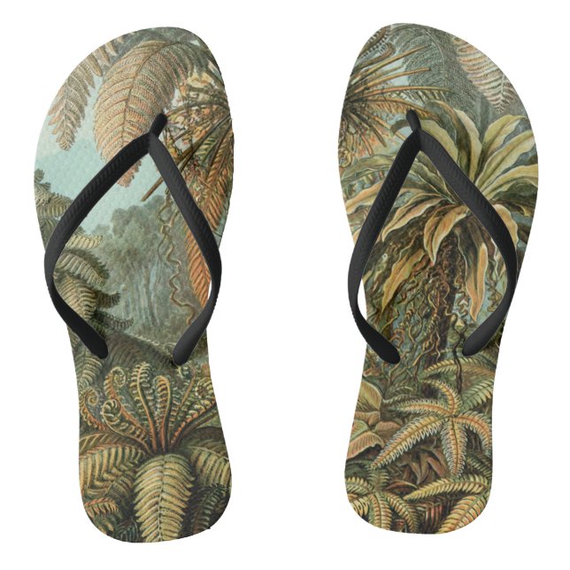 Ferns Palm Tree Antique Botanical Ferns Art Jandals (Footbed)