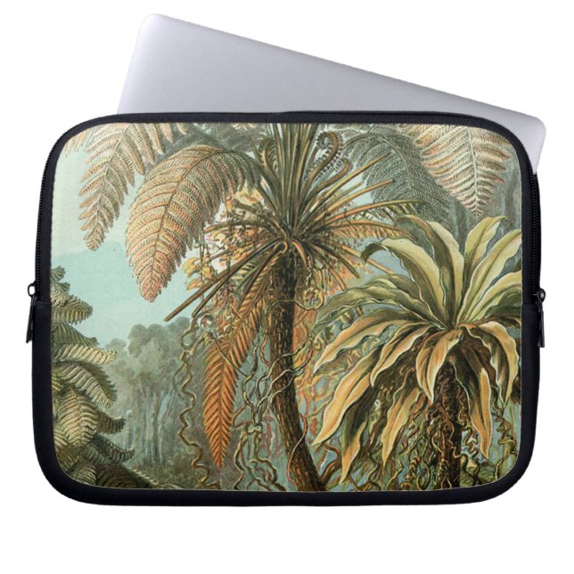 Ferns Palm Tree Antique Botanical Ferns Art Laptop Sleeve (Front)