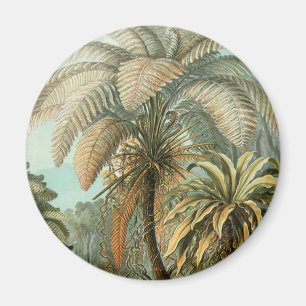 Ferns Palm Tree Antique Botanical Ferns Art Magnet
