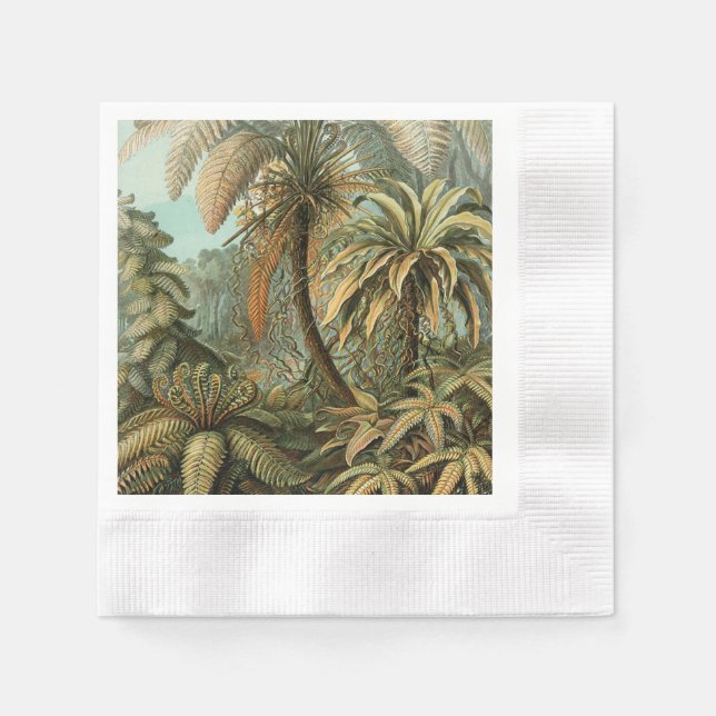 Ferns Palm Tree Antique Botanical Ferns Art Napkin (Front)