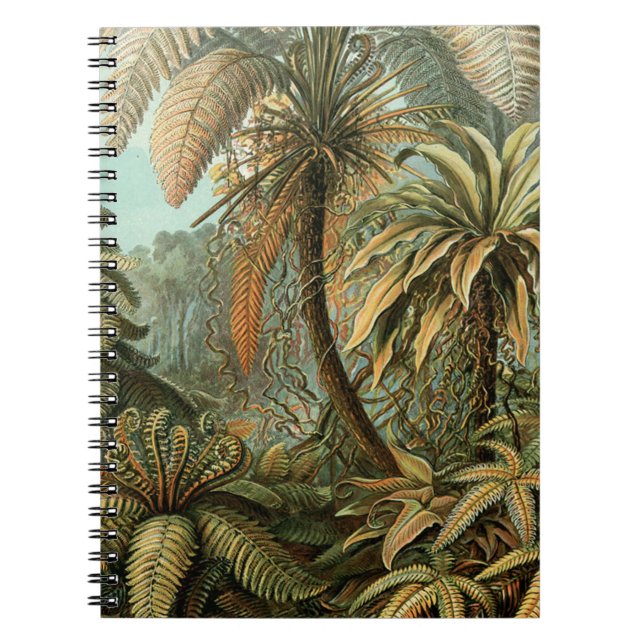 Ferns Palm Tree Antique Botanical Ferns Art Notebook (Front)