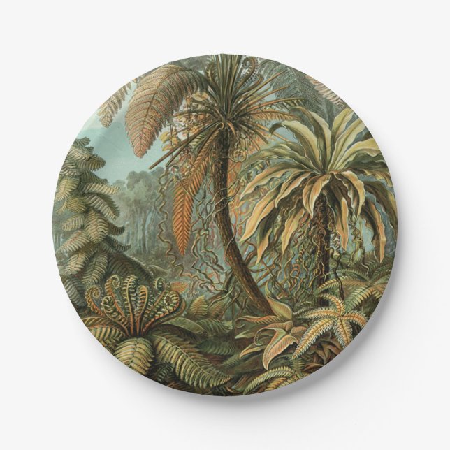 Ferns Palm Tree Antique Botanical Ferns Art Paper Plate (Front)