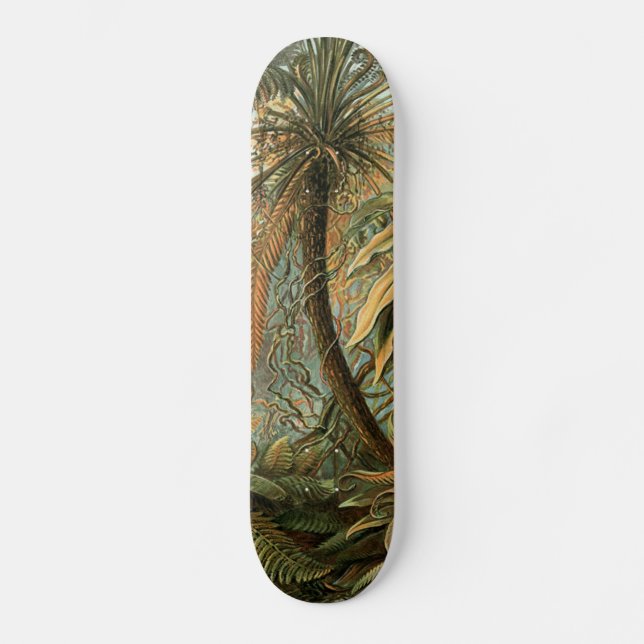 Ferns Palm Tree Antique Botanical Ferns Art Skateboard (Front)