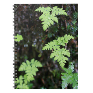 Ferns - spiral notebook