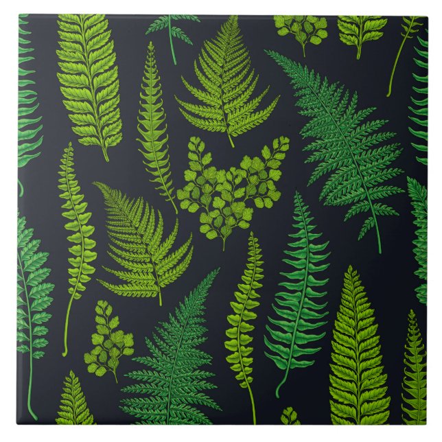 Ferns Tile (Front)