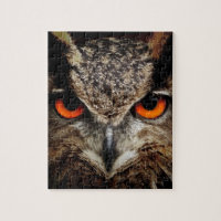 Ferocious Owl
