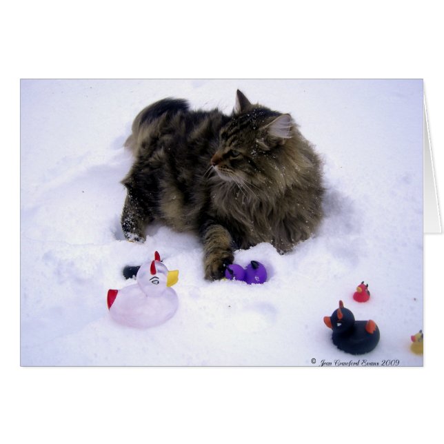 Ferocious Snow Cat (Front Horizontal)