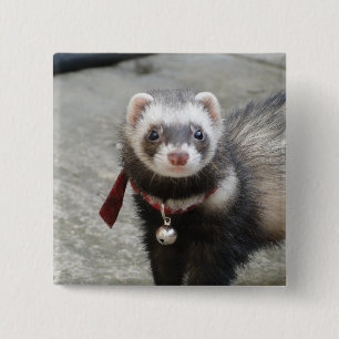 Ferret 15 Cm Square Badge