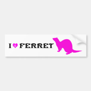 Ferret (5) bumper sticker