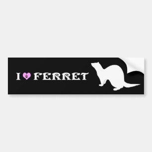 Ferret (5) bumper sticker