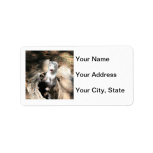 Ferret Address Label