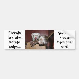 Ferret Bumper Sticker