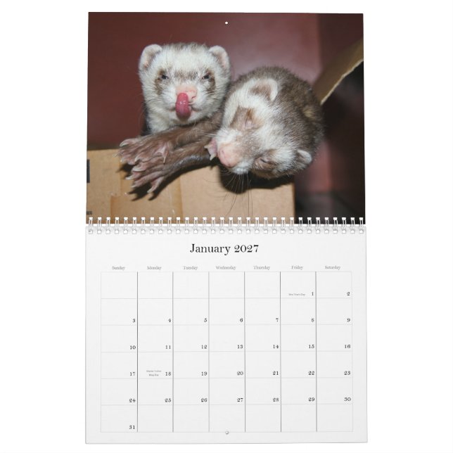 Ferret Calendar 2011 (Jan 2027)