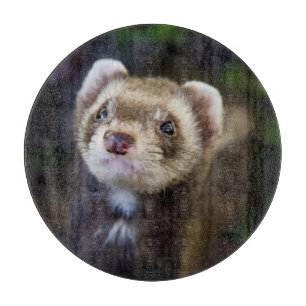 Ferret Cutting Board