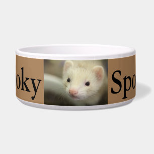 Ferret face