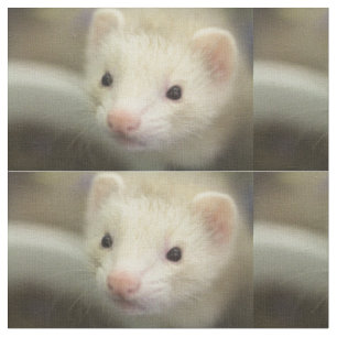 Ferret face fabric