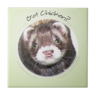 Ferret Face Got Chicken? Tile