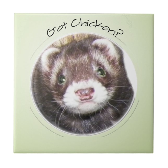 Ferret Face Got Chicken? Tile (Front)