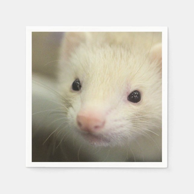 Ferret face  napkin (Front)