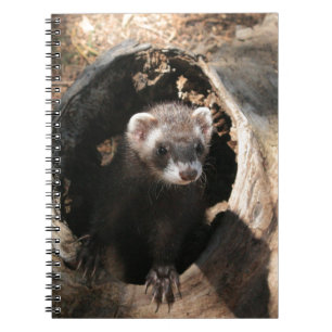 Ferret Face Notebook