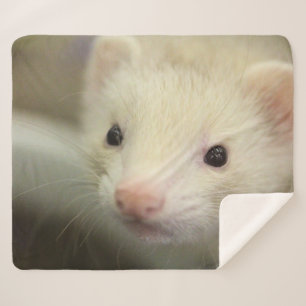 Ferret face sherpa blanket