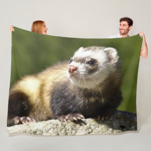 FERRET FLEECE BLANKET