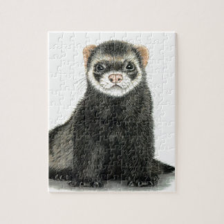 Ferret fun! jigsaw puzzle