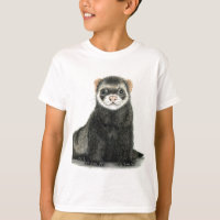 Ferret fun!