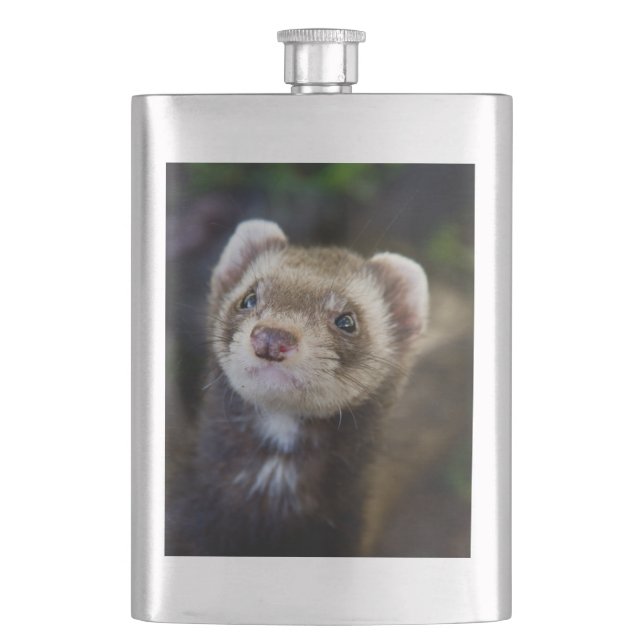 Ferret Hip Flask (Front)