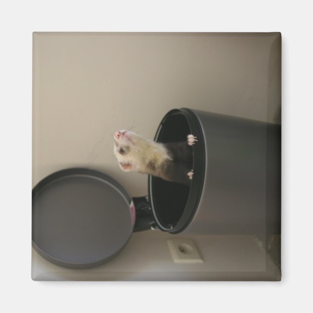 Ferret in a trashcan magnet (Front)