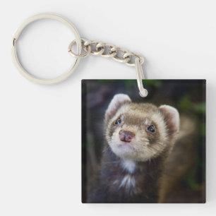 Ferret Key Ring