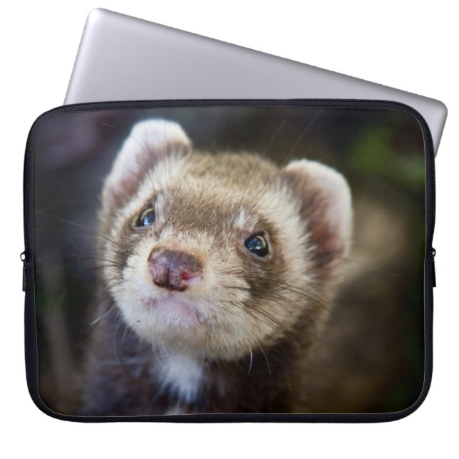 Ferret Laptop Sleeve (Front)