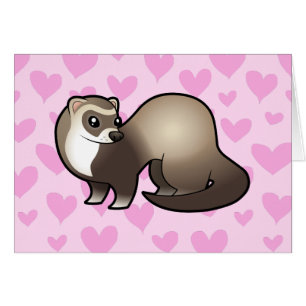 Ferret Love