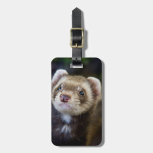 Ferret Luggage Tag