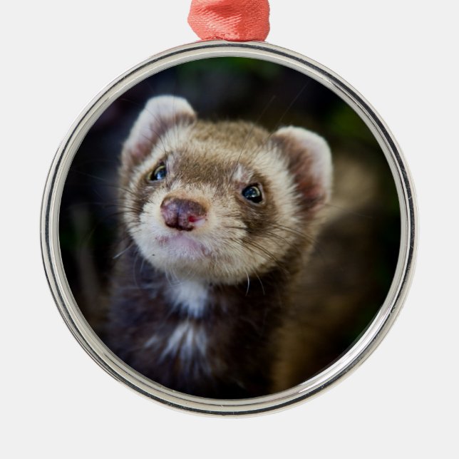 Ferret Metal Tree Decoration (Front)