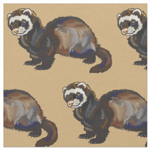 ferret (Mustela putorius furo) Fabric