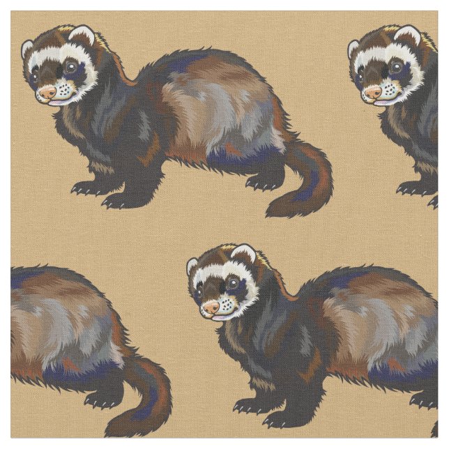 ferret (Mustela putorius furo) Fabric (Close Up)