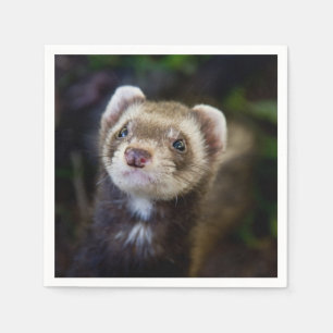 Ferret Napkin