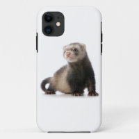 Ferret Phone cover