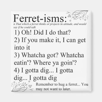 Ferret Pictures Sayings and Quotes Magnet