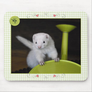 Ferret Spring - MousePad