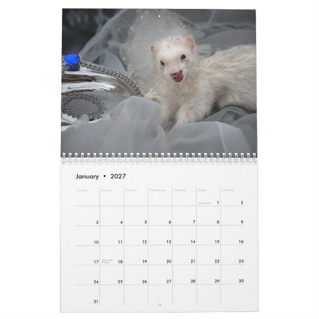 Ferrets Calendar - 3 - (Jan 2027)
