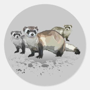 Ferrets  classic round sticker