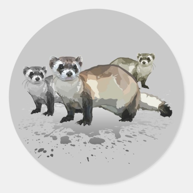 Ferrets  classic round sticker (Front)