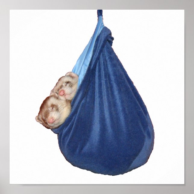 Ferrets In A Sleeping Bag Poster (Front)